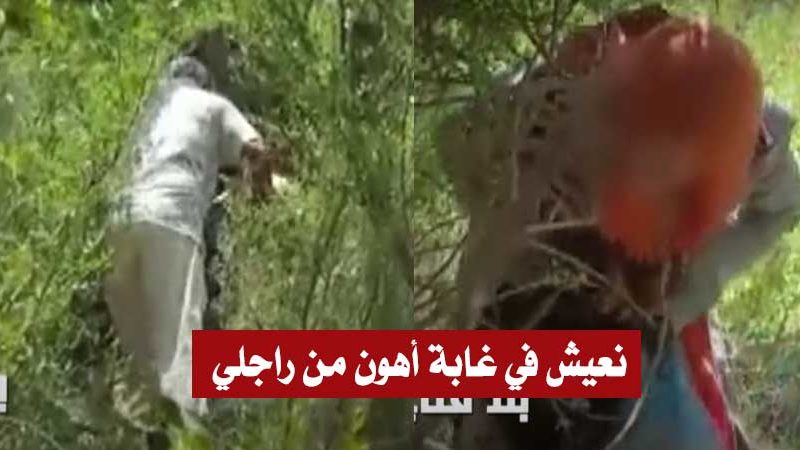فيديو صادم : العثور على إمرأة هاربة من زوجها تنام في غابة بين الافاعي والعقارب