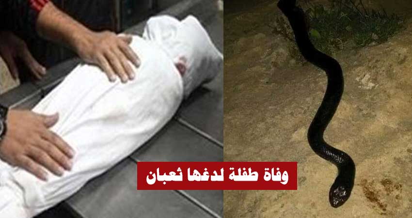 بالفيديو / سيدي بوزيد : وفاة طفلة ال3 سنوات بعد أن لدغها ثعبان داخل منزل والديها