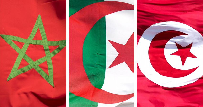 وكالة الأنباء الجزائرية: ”من يعتقد أن تونس بلد ضعيف فهو واهم”
