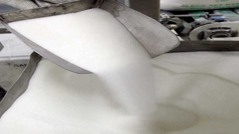 بداية من غدا:إنتاج 650 طنا من السكر يوميا