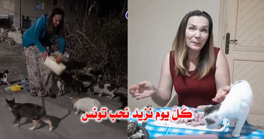 بالفيديو / شابة روسية تستقرّ في تونس وتعتني بالقطط المشردة :”ما نحبش نرجع لبلادي”