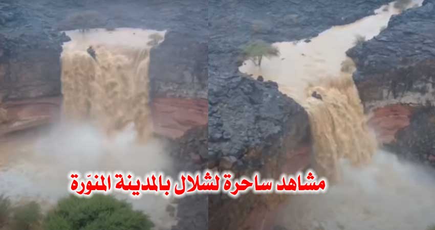 مشاهد ساحرة لتدفّق المياه من شلال كبير بالمدينة المنورة تخطف الأنظار (فيديو)