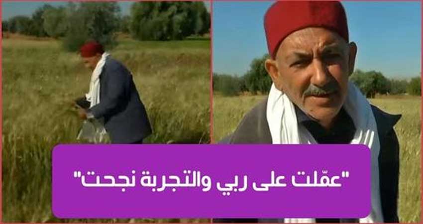 حصاد مرتين في سنة : فلاح تونسي يتحدّى نقص القمح و يزرعه في غير موسمه والنتيجة رائعة (فيديو)
